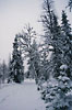 Gränjesåsvallen efter snöfall. Norra Dalarna.